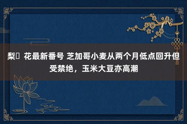 梨々花最新番号 芝加哥小麦从两个月低点回升但受禁绝，玉米大豆亦高潮