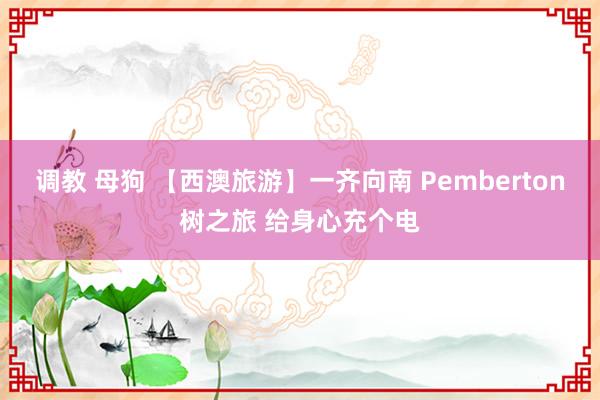 调教 母狗 【西澳旅游】一齐向南 Pemberton树之旅 给身心充个电